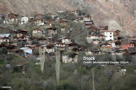 Celtikduzu Halı ve Koltuk Yıkama