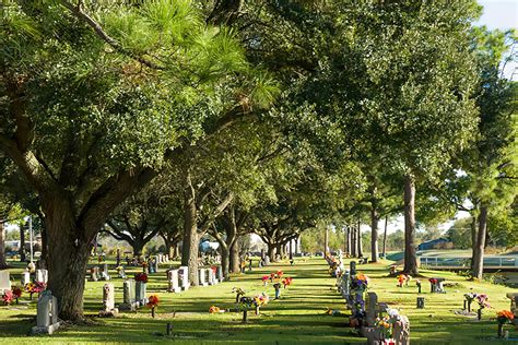 Cemetery in pearland. .  <a href=https://www.alessa-art.nl/wpqnpf/arey-chahiye-kya-aur...