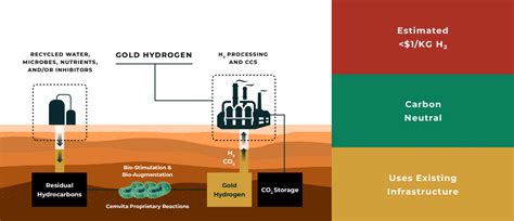 Cemvita Launches Gold Hydrogen Program Rigzone