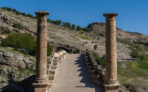 Cendere Halı ve Koltuk Yıkama
