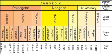 Paleocene Epoch (65-54 mya) The Paleocene epoch marks the beginning of the Cenozoic era and the Tertiary period. Dense forests grow in the warm, damp, and temperate climate. 