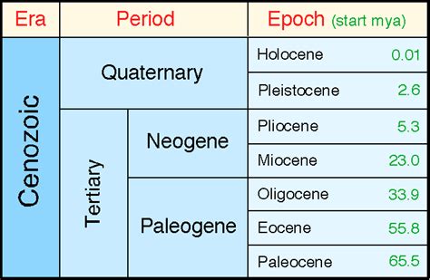 Cenozoic Era: (248 mya-present) ... Pleistocene Epoch (1.8-0.01 mya) During the Pleistocene, glaciers repeatedly advance from the Arctic north over Europe and North America, then retreat. .... 