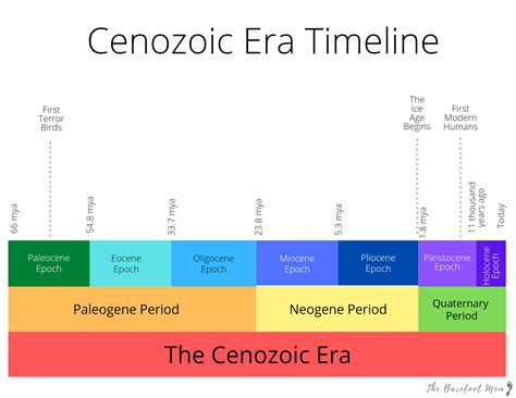 Cenozoic era periods. The Geologic Time Scale shows the names of all of the eons, eras, and periods throughout geologic time, along with some of the epochs. (The time scale is simplified to include just the most commonly used unit names, so epochs before the Cenozoic Era and ages aren't listed.) 