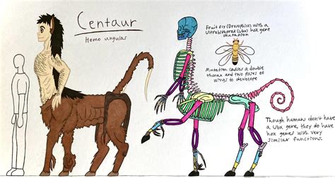 Centaur transformation spell.  Sub-power of Form Manipulation and Mode ...