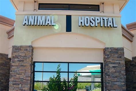 Centennial hills animal hospital. Things To Know About Centennial hills animal hospital. 
