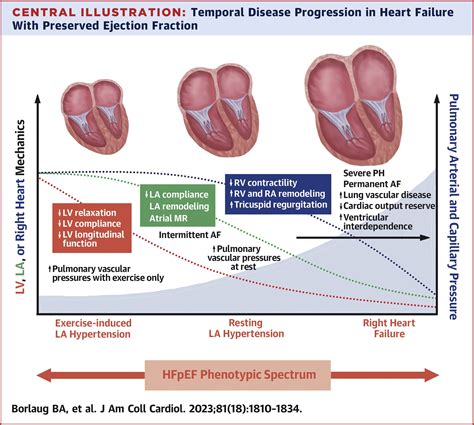 Center for Heart Failure with Preserved Ejection Fraction …