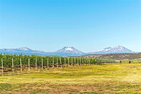 Central Oregon Winery - Faith Hope & Charity Vineyards Terrebonne, Oregon