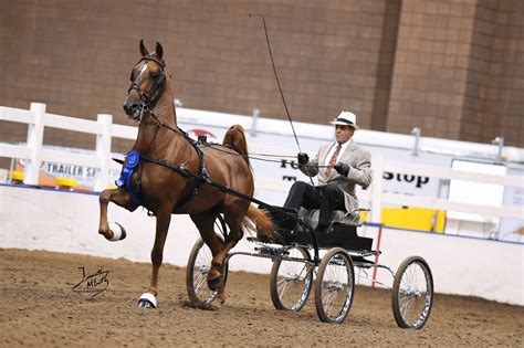 Central States Horse Shows