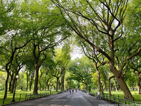 Central park trees and landscapes a guide to new york citys masterpiece. - Epson complete guide to digital printing updated edition a lark photography book.