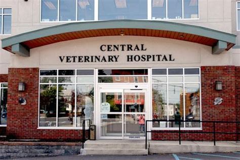 Central vet hospital. Central Hospital for Veterinary Medicine is one of the largest and oldest veterinary hospitals in Connecticut, offering emergency and specialty services to small animals. It … 