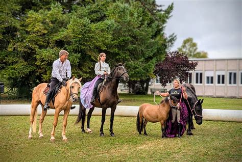 Centre équestre romorantin. .  ...