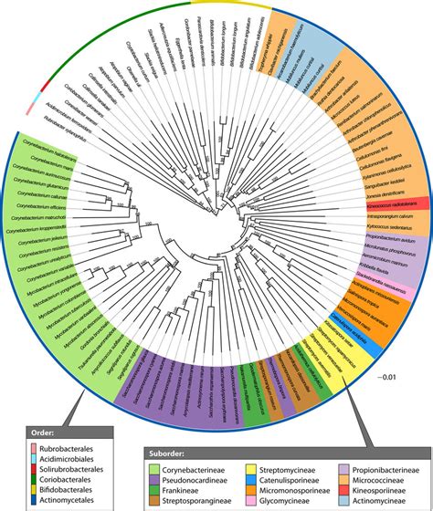 Centre for the Analysis of Genome Evolution and Function