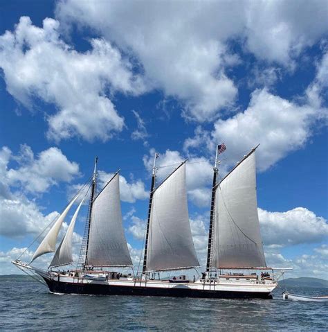 Century-old ship that sailed Chesapeake Bay goes up for auction