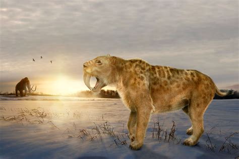 Cenozoic Era The most recent of the geological eras, 