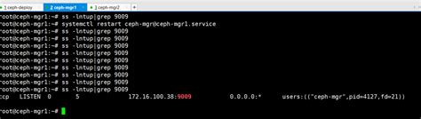 Ceph mgr restart.  5 days ago · The Ceph Manager Telegraf module sends cluster performance...