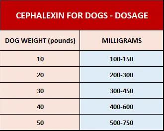 Cephalexin 500mg for dogs dosage chart. With cephalexin for dogs, the dosage is typically 10 to 15 milligrams per pound of body weight. Your vet will prescribe the correct dosage for your dog based on their size and weight and the ... 
