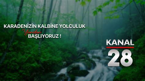 Cepni Halı ve Koltuk Yıkama