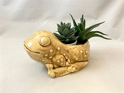 Ceramic Frog Planter - Etsy