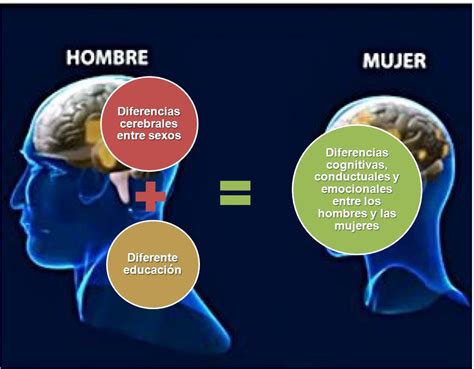 Cerebro de hombre   cerebro de mujer. - Physical science study guide light and sound.