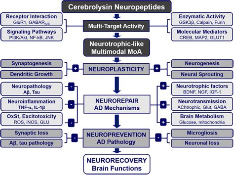 Cerebrolysin in Canada - Brain Health - LONGECITY