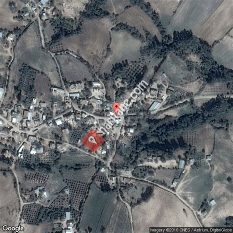 Cerenli Halı ve Koltuk Yıkama