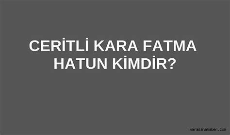 Ceritli Halı ve Koltuk Yıkama