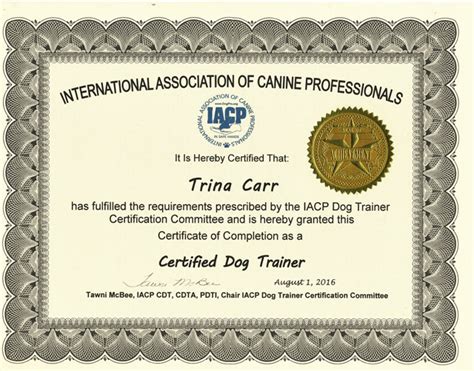 Certified dog trainer. 