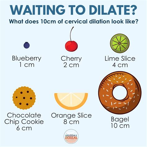 Cervical dilation: what it is and how long it takes MadeForMums