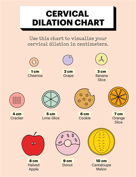 Cervical dilation chart. Cervical Dilation Chart A fun little cervical dilation chart to add to your doula or midwifery tools for education. Follow the journey of dilation with accurate depictions of similar sized items to give a good understanding on how many cm the dilation is or looks like. This is a tool meant to be used to educate clients on the bodily process of ... 