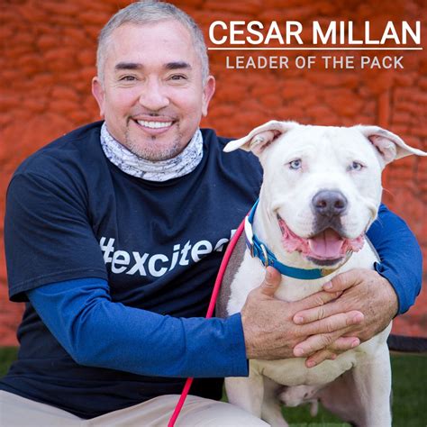 Cesar dog trainer. 