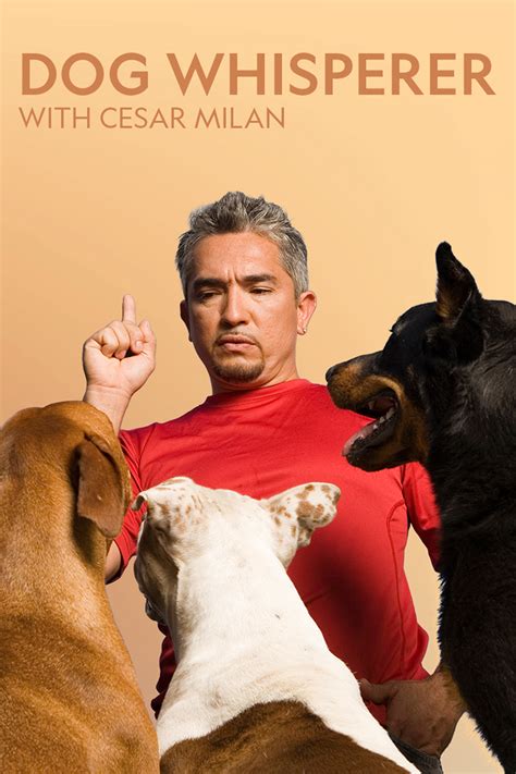 Cesar dog whisperer. The Dog Whisperer is a name which makes many people think of an incredible TV dog trainer, saving so-called ‘red zone’ problem dogs from a bad ending. On the other hand, many others think of someone who has set dog training back 30 years by the language and methods he uses. 