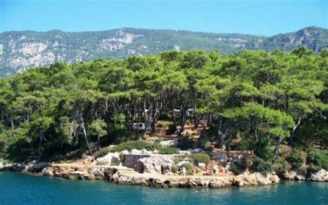 Cetibeli Halı ve Koltuk Yıkama