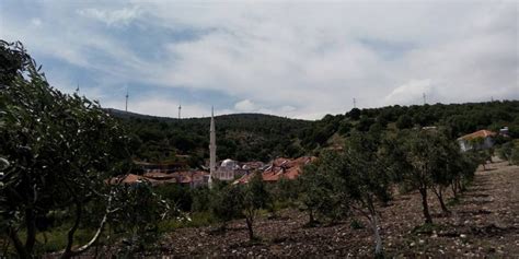 Cevircek Halı ve Koltuk Yıkama