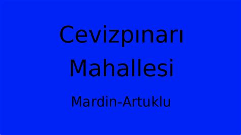 Cevizpinari Halı ve Koltuk Yıkama