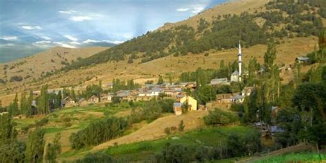 Cevrepinar Halı ve Koltuk Yıkama