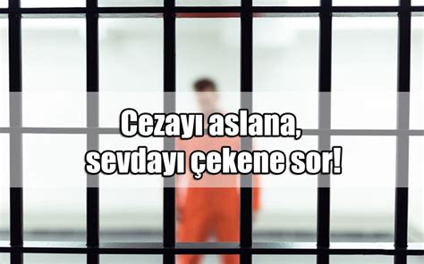 veodersti.rgarabwor.edu.pl. 