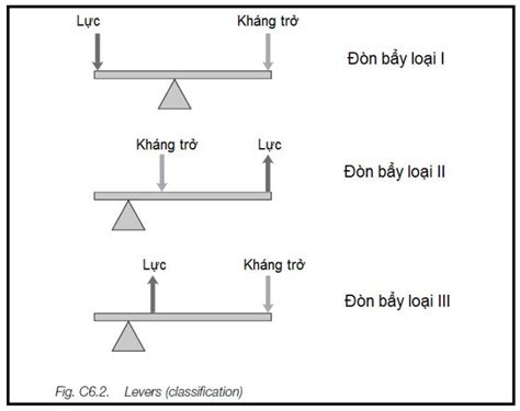 Chữ R Cá Cược: Chiếc Đòn Bẩy Mạnh Mẽ cho Chiến Thắng