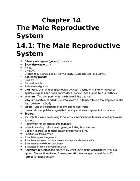 Ch 14: The Male Reproductive System: The Essentials of the