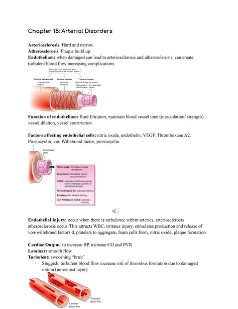 Ch. 15 Arterial Disorders - Ch. 15 Arterial Disorders Artery