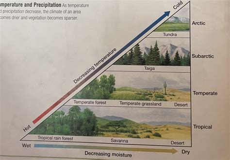 Ch. 6 Environmental Science Flashcards Quizlet