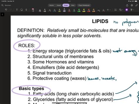 Ch8 Flashcards Quizlet