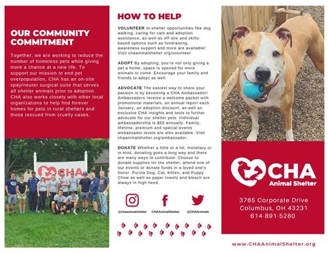 Cha animal shelter. Things To Know About Cha animal shelter. 