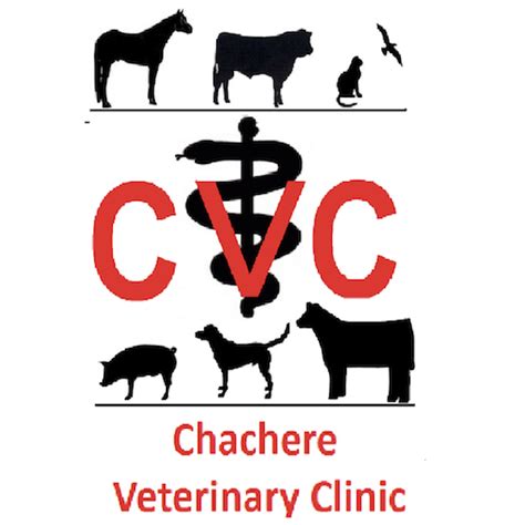 Chachere vet. Chachere Veterinary Clinic is a full-service, mixed-animal practice serving clients in Dayton, Liberty, Huffman, Cleveland, Humble, and other surrounding communities. We welcome cats and dogs as well as cattle, horses, and show animals, including goats, sheep, and pigs. For questions about animals not specifically mentioned here, simply give us ... 