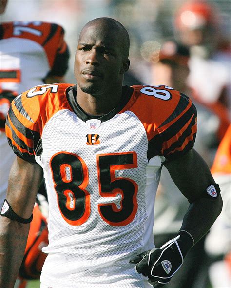 Chad Johnson football statistics on StatsCrew.com