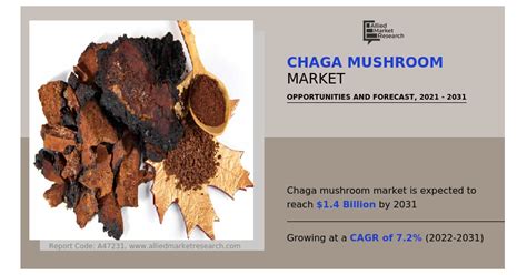 Chaga Mushroom Market to Garner $1.4 Billion by 2031