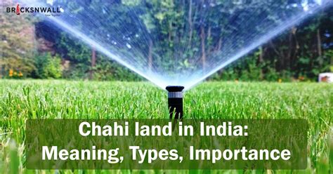 Chahi meaning. .  ...