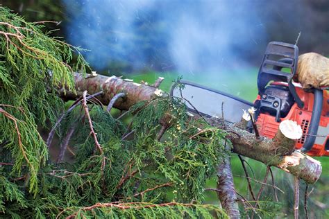 Chainsaw Smoking & Overheating Causes & Fixes