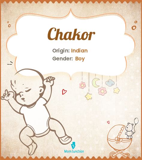 Chakor Meaning in English - Chakor English Definition and Arth