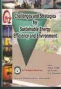 Challenges And Strategies For Sustainable Energy Deficiency And Environment