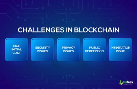 Challenges and Considerations for Amazon's Blockchain Project